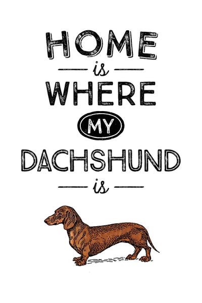 Dachshunds: Dachshund by Alchera Design Posters