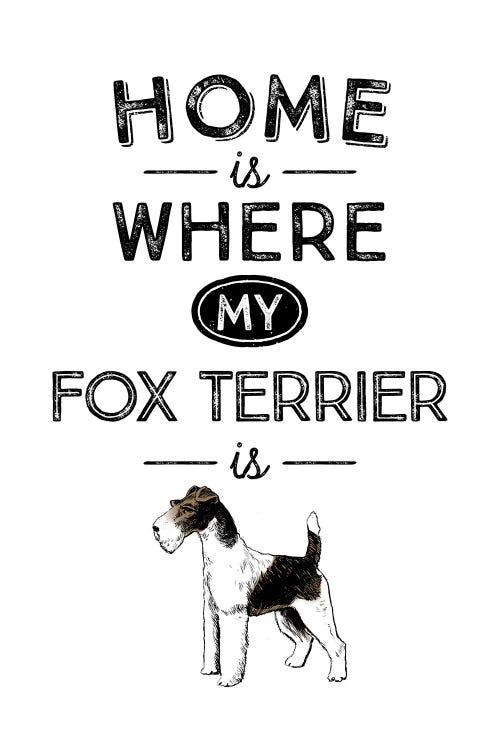 Fox Terrier