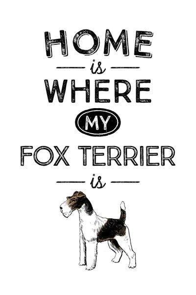 Fox Terrier