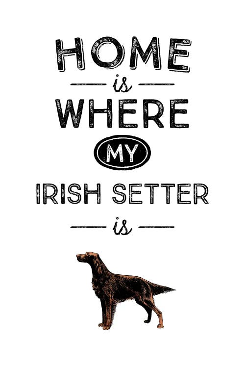 Irish Setter