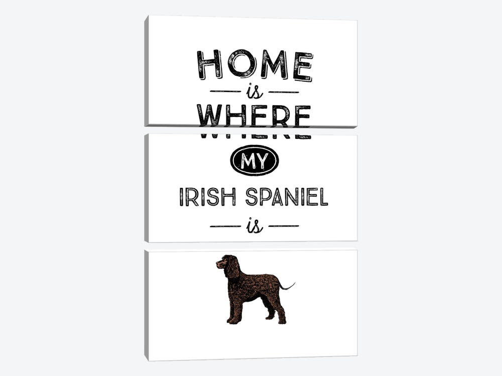 Irish Spaniel by Alchera Design Posters 3-piece Canvas Print