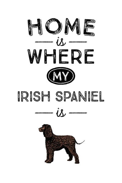 Spaniels: Irish Spaniel by Alchera Design Posters