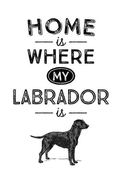 Labrador Retrievers: Black Labrador by Alchera Design Posters