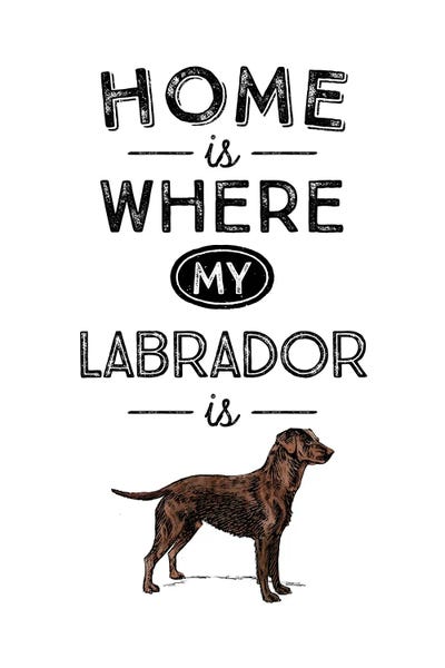 Pet Obsessed: Chocolate Labrador by Alchera Design Posters