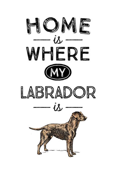Labrador Retrievers: Yellow Labrador by Alchera Design Posters