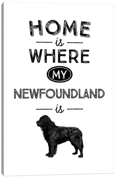 Newfoundland Canvas Art Print - Newfoundlands