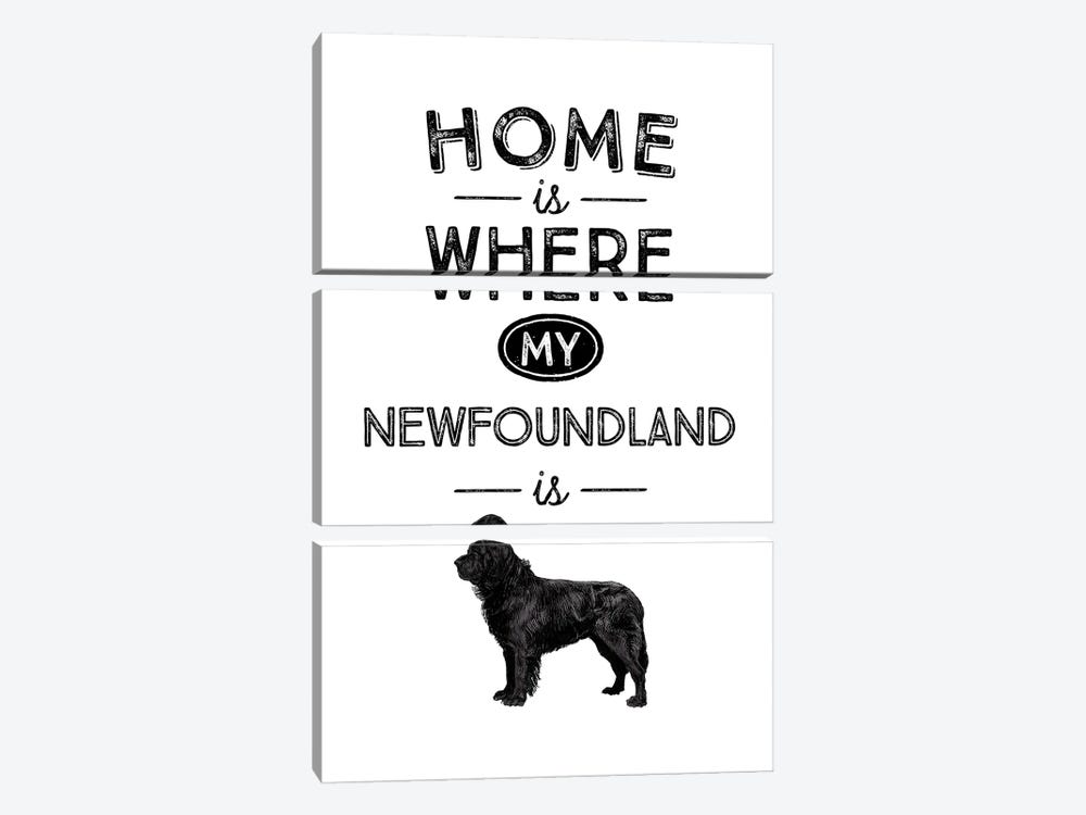 Newfoundland by Alchera Design Posters 3-piece Canvas Wall Art