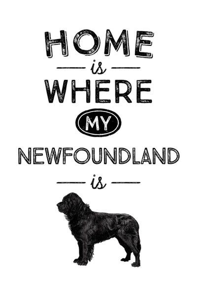 Newfoundlands: Newfoundland by Alchera Design Posters