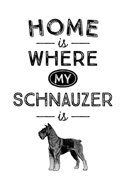 Schnauzer