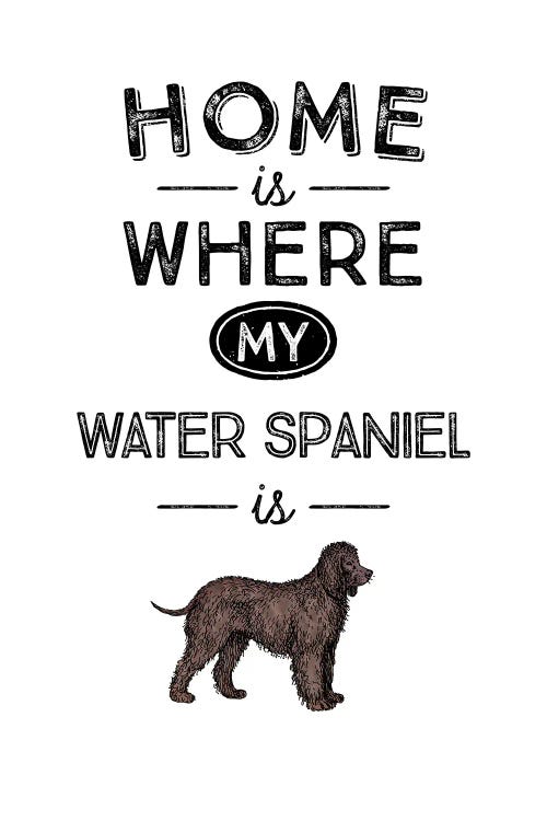 Water Spaniel