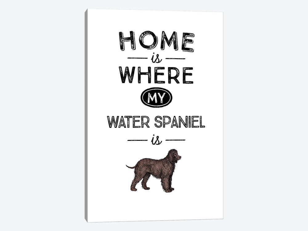 Water Spaniel by Alchera Design Posters 1-piece Art Print