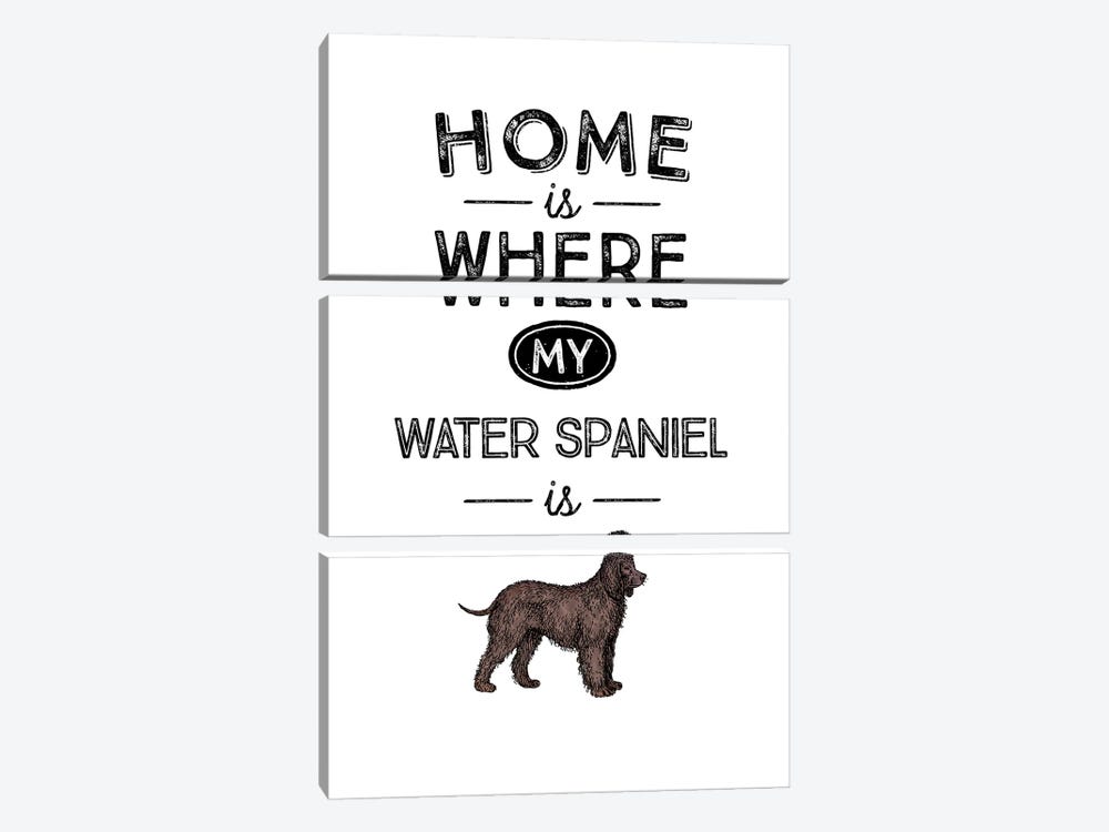 Water Spaniel by Alchera Design Posters 3-piece Canvas Print