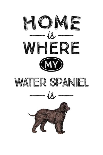 Spaniels: Water Spaniel by Alchera Design Posters