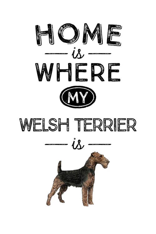 Welsh Terrier by Alchera Design Posters wall art