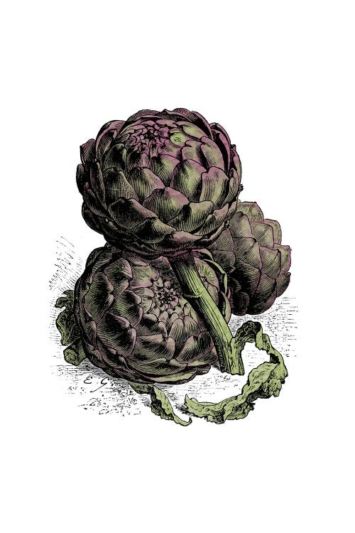 Artichoke