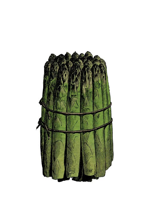 Asparagus