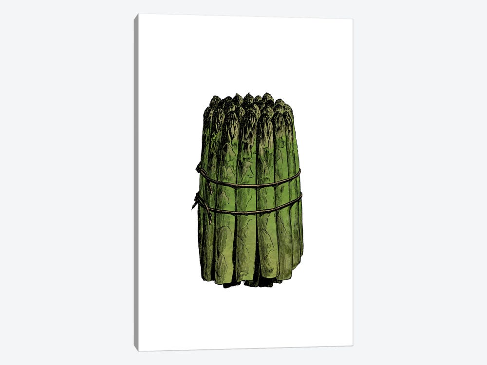 Asparagus by Alchera Design Posters 1-piece Canvas Art Print