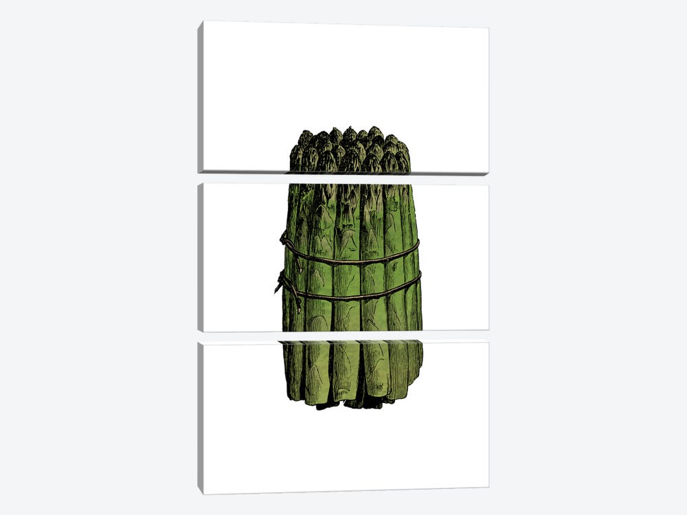 Asparagus by Alchera Design Posters 3-piece Art Print
