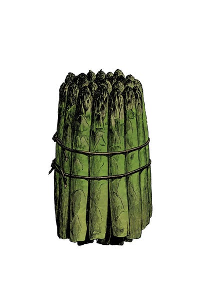 Asparagus