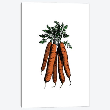 Carrot Canvas Print #ACE58} by Alchera Design Posters Art Print