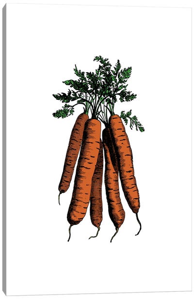 Carrot Canvas Art Print - Alchera Design Posters