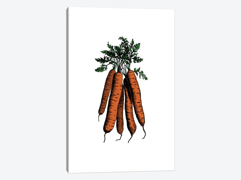 Carrot by Alchera Design Posters 1-piece Canvas Art Print