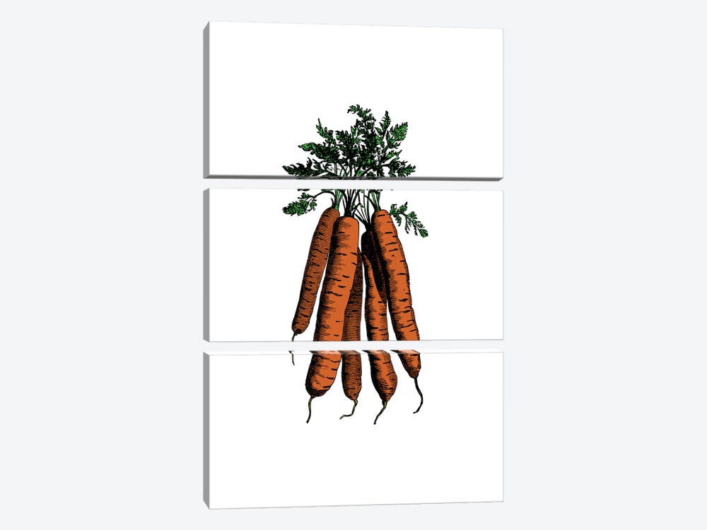 Carrot by Alchera Design Posters 3-piece Canvas Print