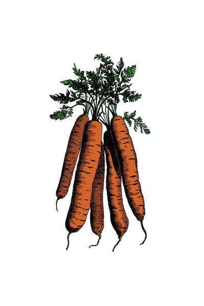 Carrots: Carrot by Alchera Design Posters