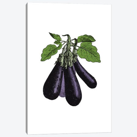 Eggplant Canvas Print #ACE59} by Alchera Design Posters Art Print