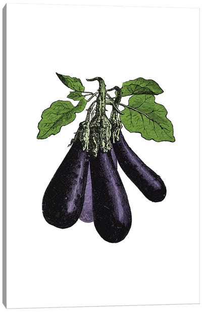 Eggplant Canvas Art Print - Alchera Design Posters