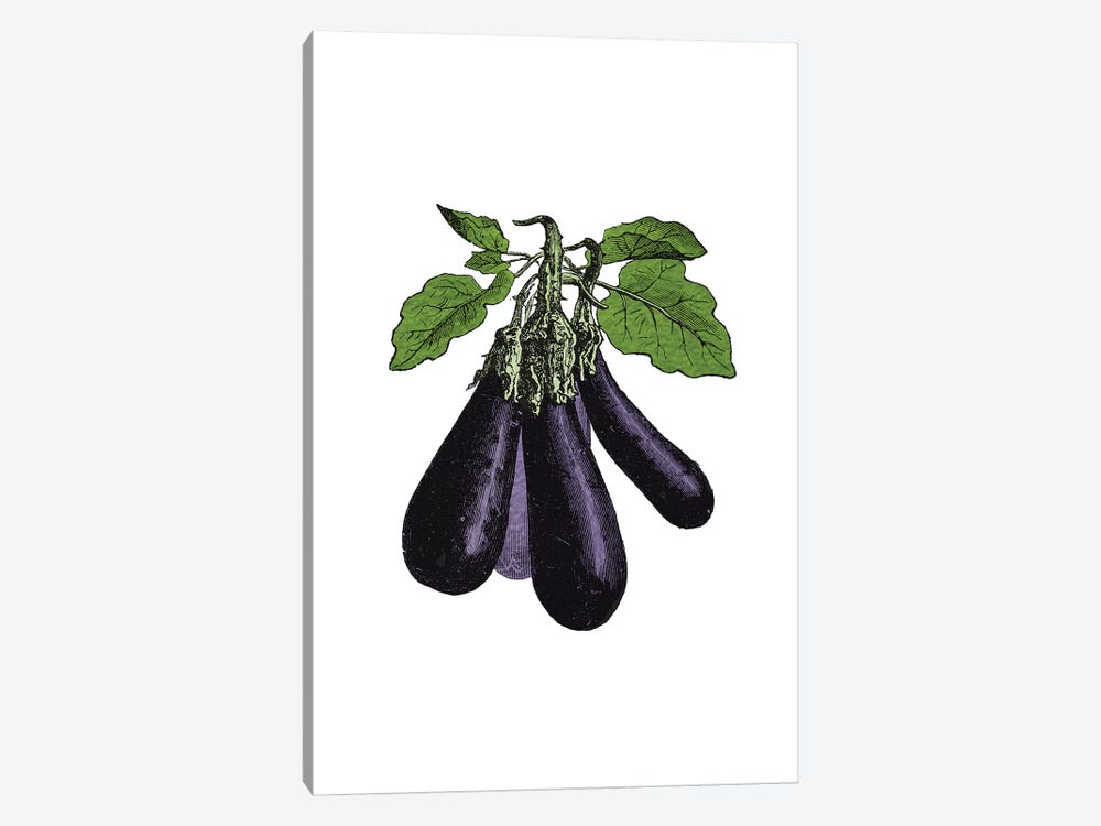 Eggplant by Alchera Design Posters 1-piece Canvas Wall Art