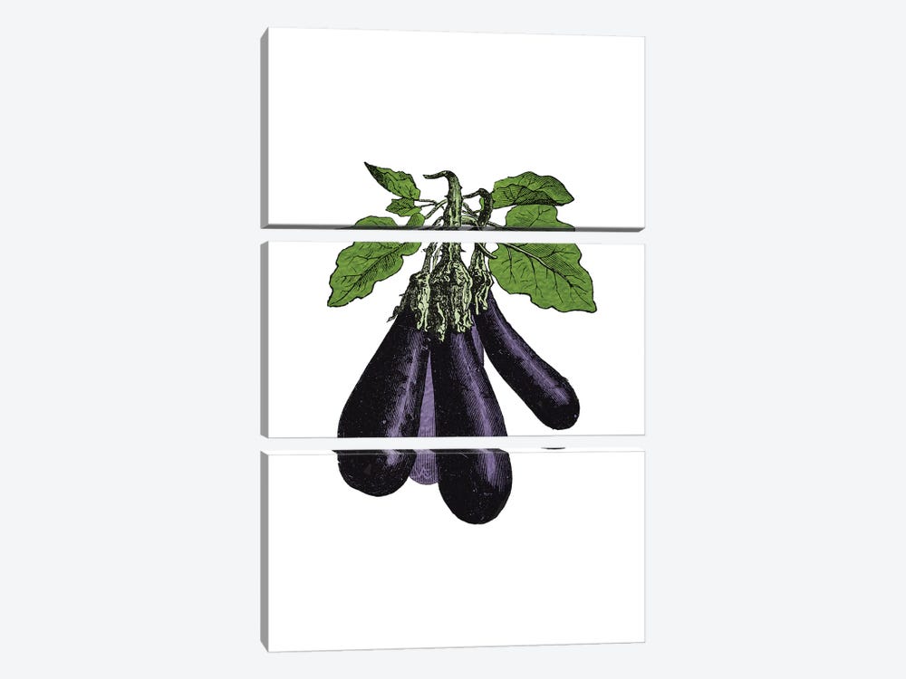 Eggplant by Alchera Design Posters 3-piece Canvas Art