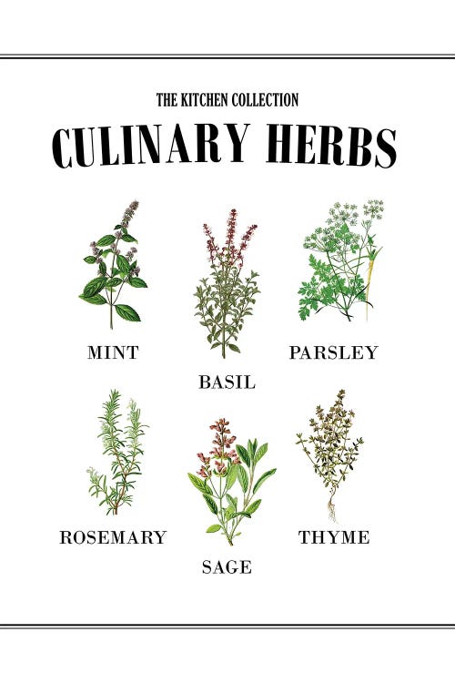 Culinary Herbs