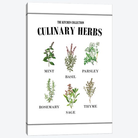 Culinary Herbs Canvas Print #ACE91} by Alchera Design Posters Canvas Art Print