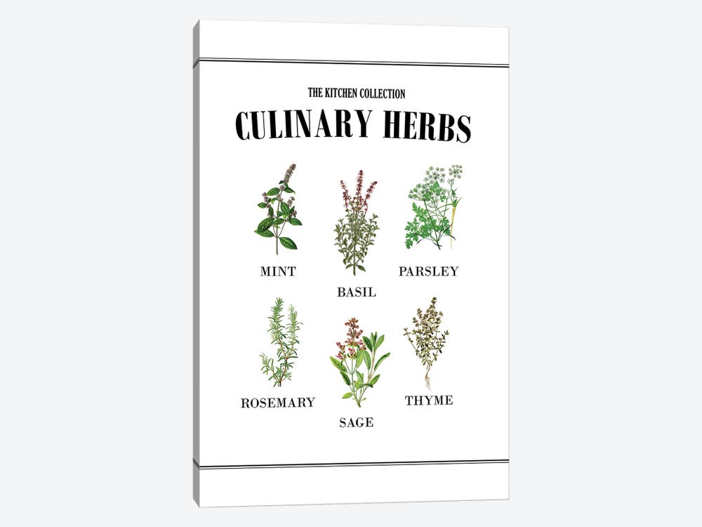 Culinary Herbs by Alchera Design Posters 1-piece Canvas Art