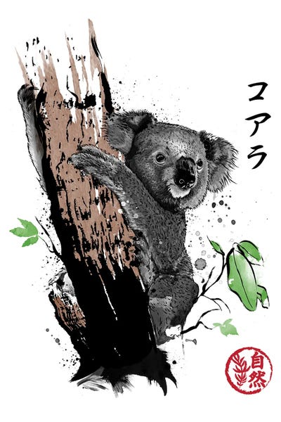 Koalas: Wild Koala by Antonio Camarena