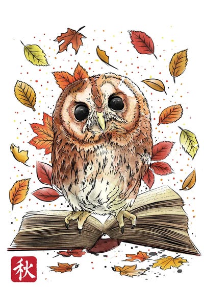 Owl Leaves And Books by Antonio Camarena canvas print