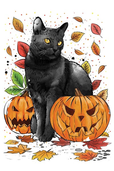 Cat Leaves And Pumpkins