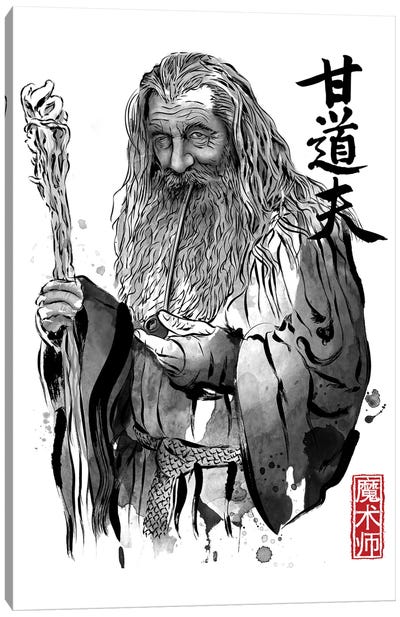 The Grey Wizard Canvas Art Print - Movie & Television Character Art