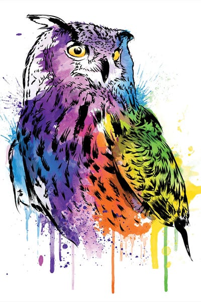 Owl Watercolor by Antonio Camarena canvas print