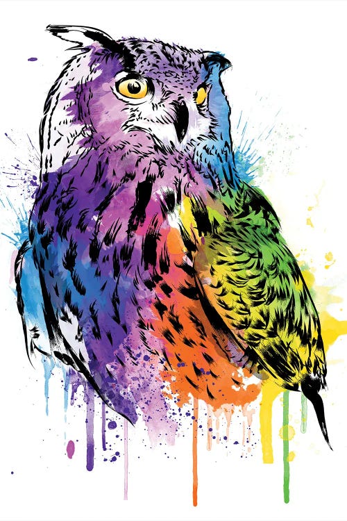 Owl Watercolor by Antonio Camarena wall art