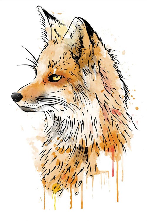 Fox Watercolor Color