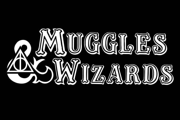 Muggles And Wizards