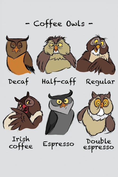 Coffee Owls