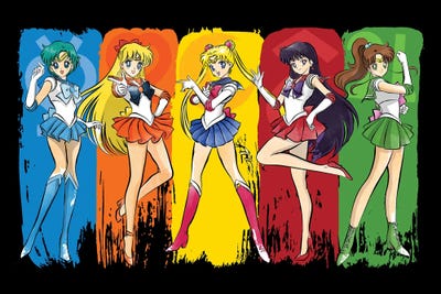 Sailor Moon (TV Show)