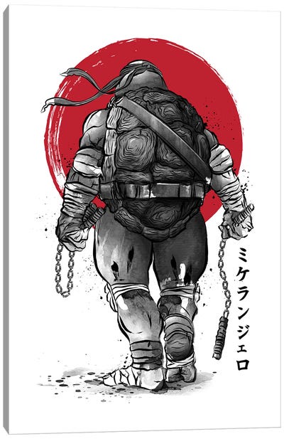 The Way Of Mikey Canvas Art Print