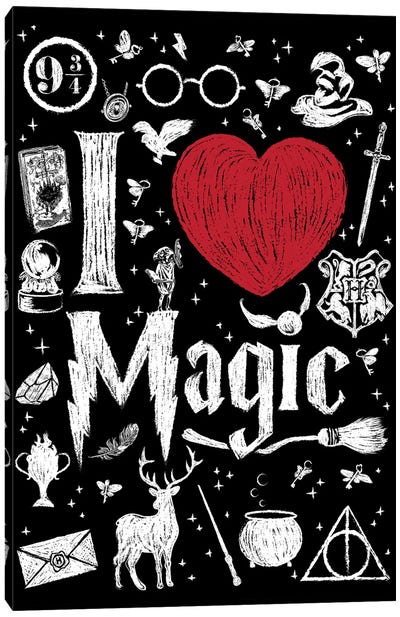 I Love Magic Canvas Art Print - Harry Potter (Film Series)