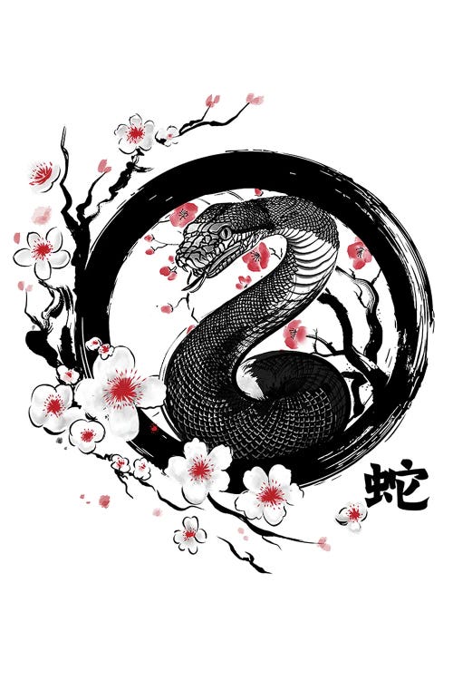 Year Of The Snake by Antonio Camarena wall art