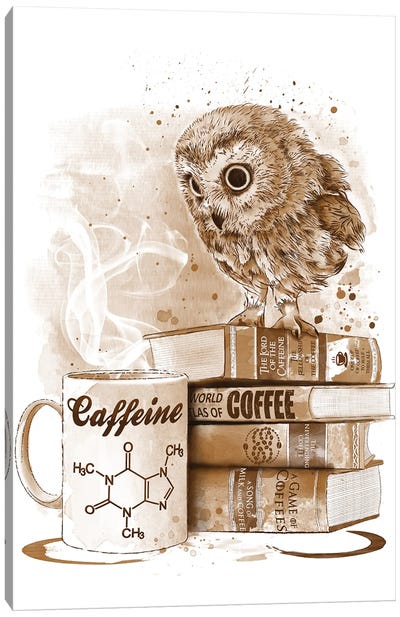 Coffee Obsession Canvas Art Print - Owl Art