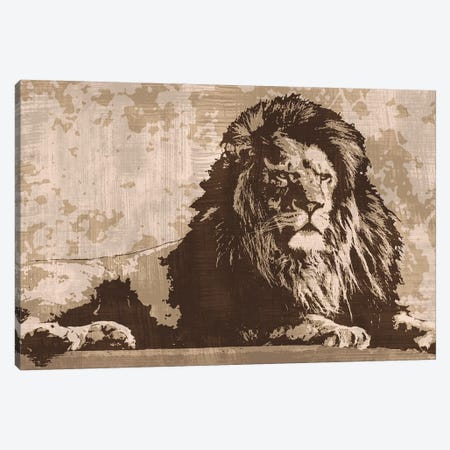 Lion Canvas Print #ACP12} by Andrew Cooper Canvas Wall Art